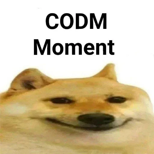 собака животное млекопитающее