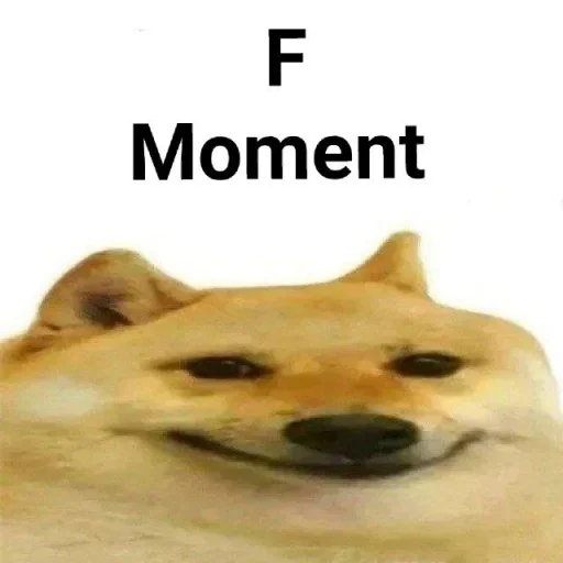 животное собака млекопитающее