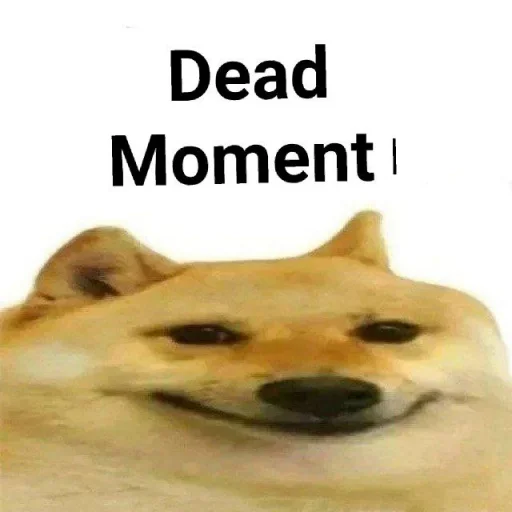 собака животное млекопитающее