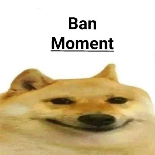 животное собака млекопитающее