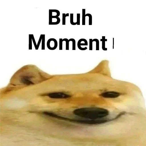 животное собака млекопитающее