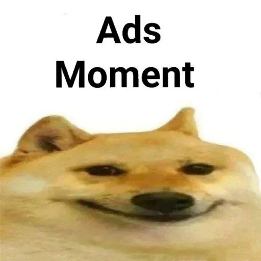 собака животное млекопитающее