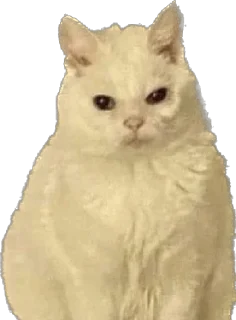 Стикер КрыскиВсегоМира - 9