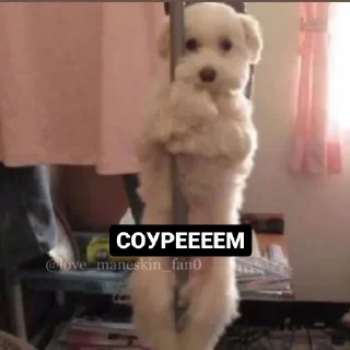 Стикер Манескин - mood - 6