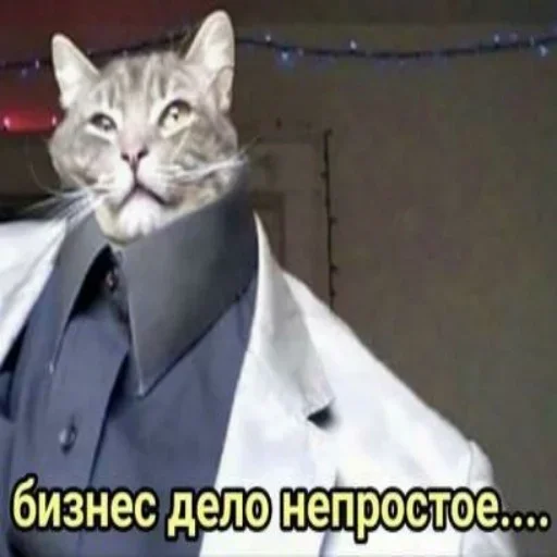 mammal collar necktie