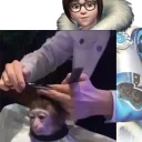 Sticker Monkey Haircut (@stickerssave) - 3