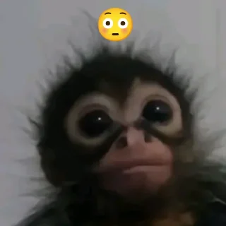 Sticker Бибизяна - 5