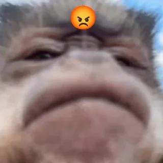 Sticker Бибизяна - 4