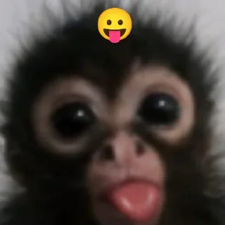 Sticker Бибизяна - 1