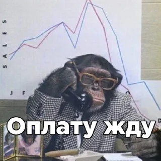 Стикер Тимчик @RubenSigmas - 8