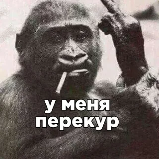 Стикер Тимчик @RubenSigmas - 7