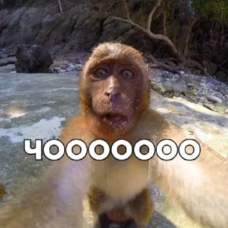 Стикер Тимчик @RubenSigmas - 4