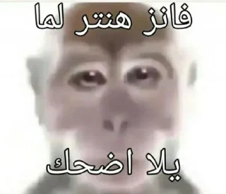 Sticker @h4s10k Monkey - 6