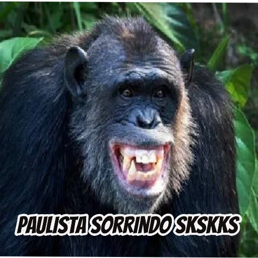 Sticker mamaco        by @raivozo - 5