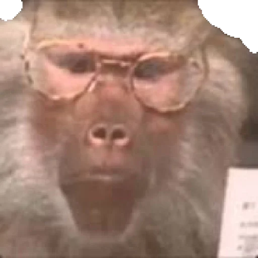 Sticker mamaco        by @raivozo - 4