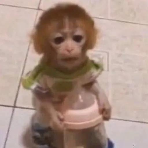 Sticker mamaco        by @raivozo - 0