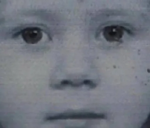 человеческое лицо бровь щека