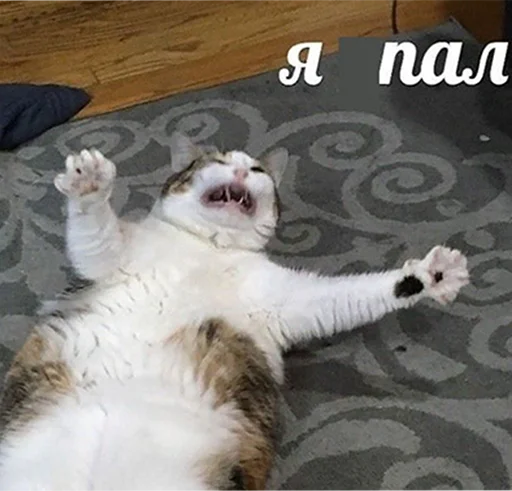 Муд: Николай - 