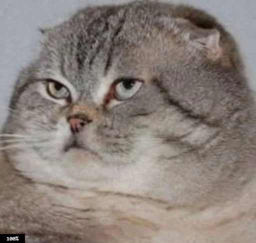 Стикер Муд: Николай - 11