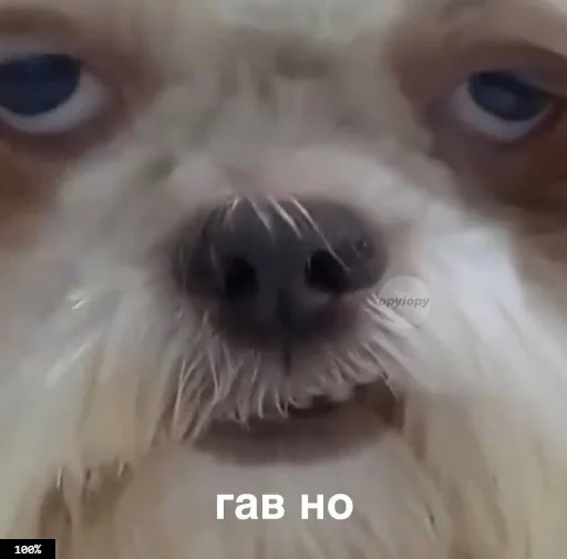 Стикер Муд: Николай - 10