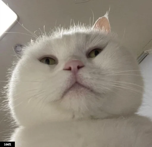 Стикер Муд: Николай - 9