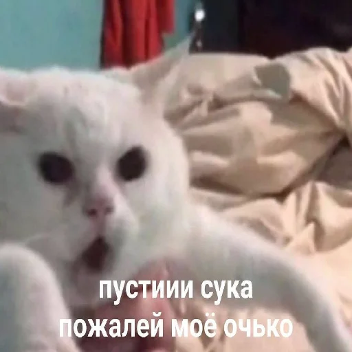 Стикер Муд: Николай - 7