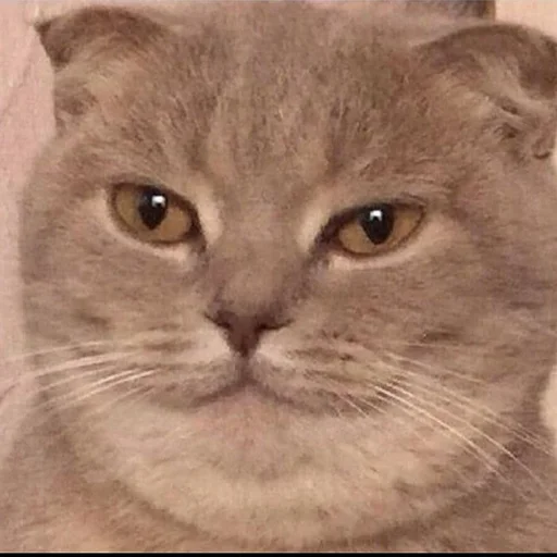 Стикер Муд: Николай - 6