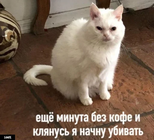 Стикер Муд: Николай - 2