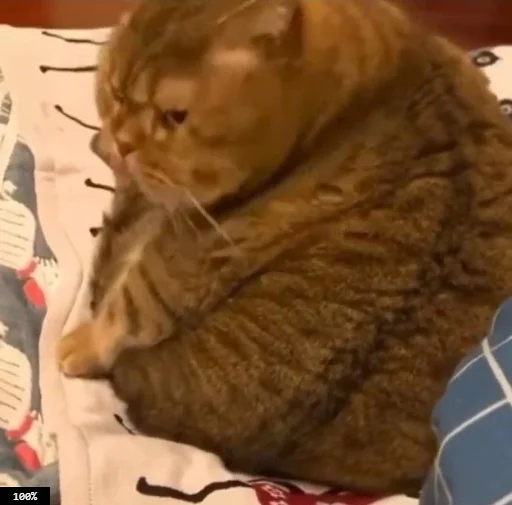 Стикер Муд: Николай - 0