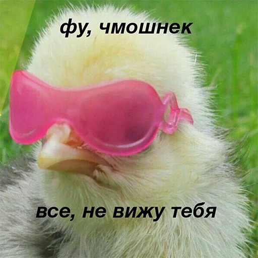 Sticker Mood_In_Sc - 1