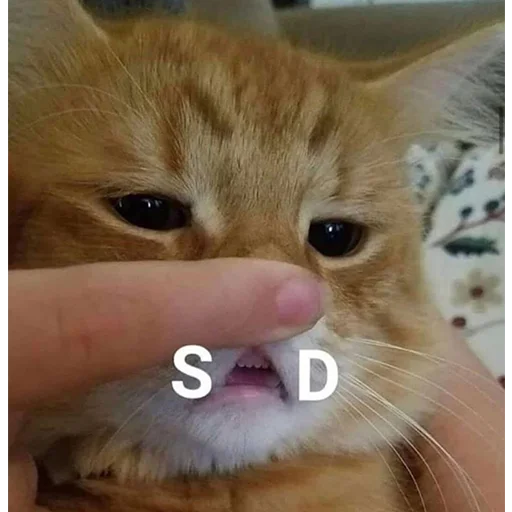 Стикер Mood_In_Sc - 1