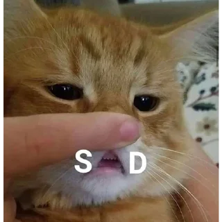 Sticker Mood в скринах - 4