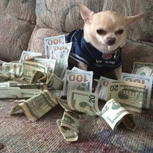 text animal newspaper