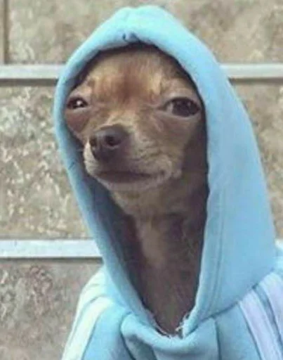 Sticker MOOD DOGS | @HOLYPULPFICTION - 7