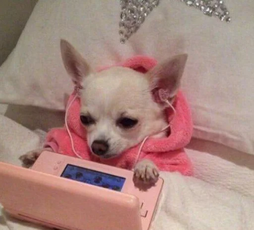 Sticker MOOD DOGS | @HOLYPULPFICTION - 4