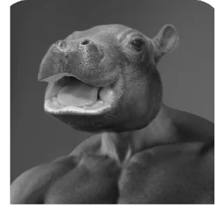 Стикер MOODENG @moodengethcto - 8