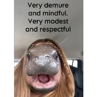 Стикер MOODENG @moodengethcto - 10