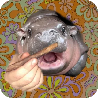 Стикер MOODENG @moodengethcto - 11