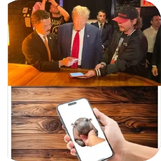 Стикер MOODENG @moodengethcto - 1