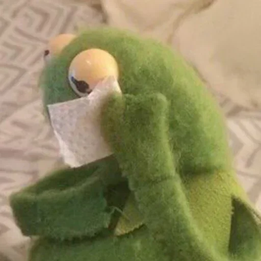 toy indoor stuffed toy