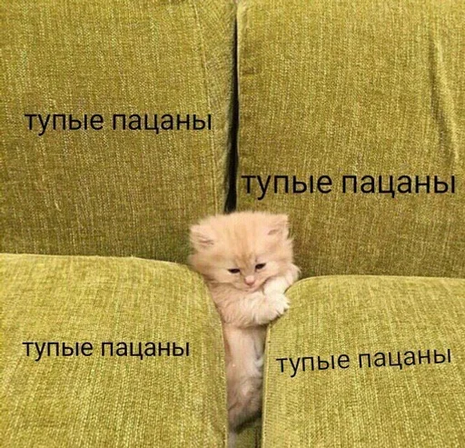 диван кошки малого и среднего размера СМС