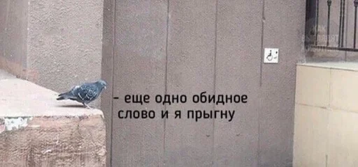 СМС здание птица