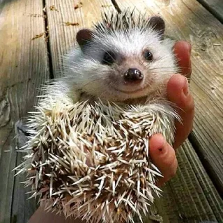 Sticker Me [ @TNTEEN ] - 11