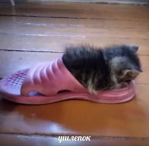 Стикер Moor1 - 1