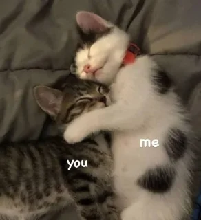 Стикер Мявк - 1