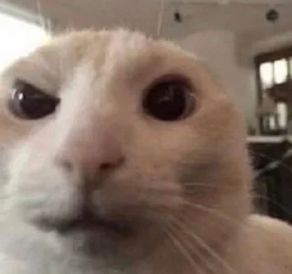 Стикер Мявк - 5