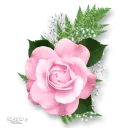 Стикер Moorche_Flowers_Win2Farsi.com - 7