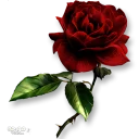 Стикер Moorche_Flowers_Win2Farsi.com - 10