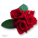 Стикер Moorche_Flowers_Win2Farsi.com - 11