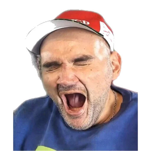 Sticker Mopsihii - 1